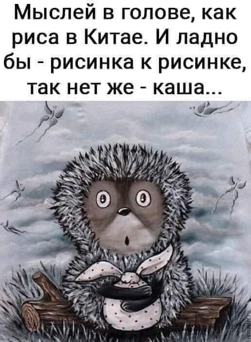 Мыслей в голове как риса в Китае И ладно бы рисинка к рисинке так нет же каша ут