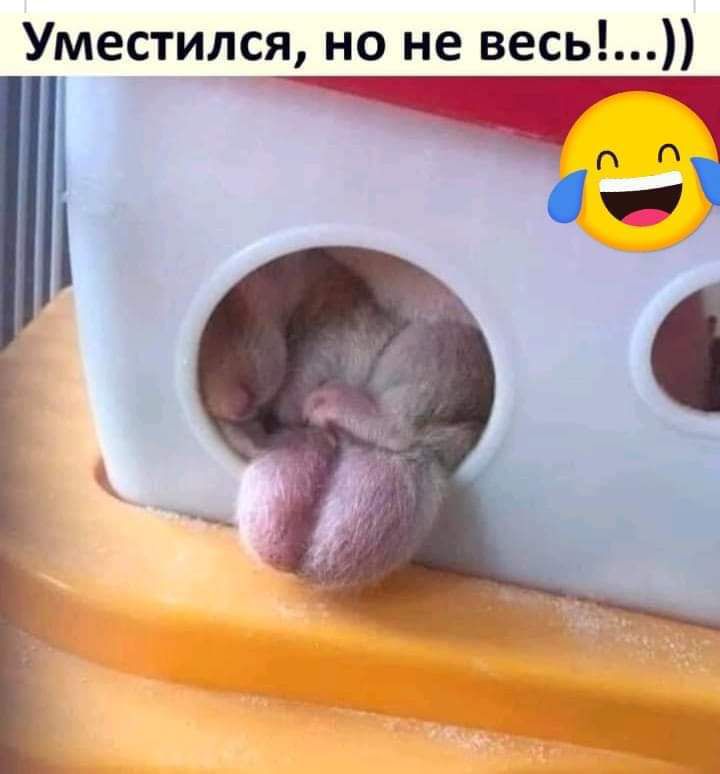 Уместился но не весь