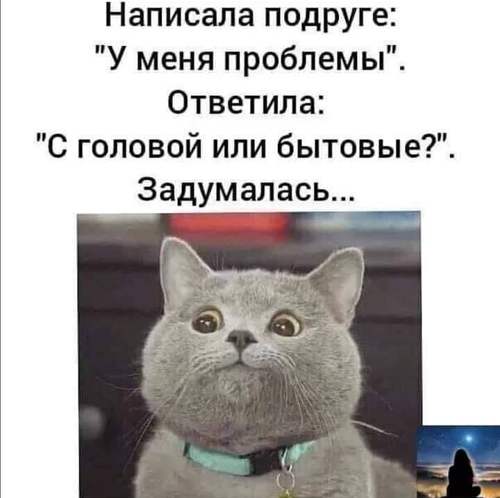Написала подруге У меня проблемы Ответила С головой или бытовые Задумалась