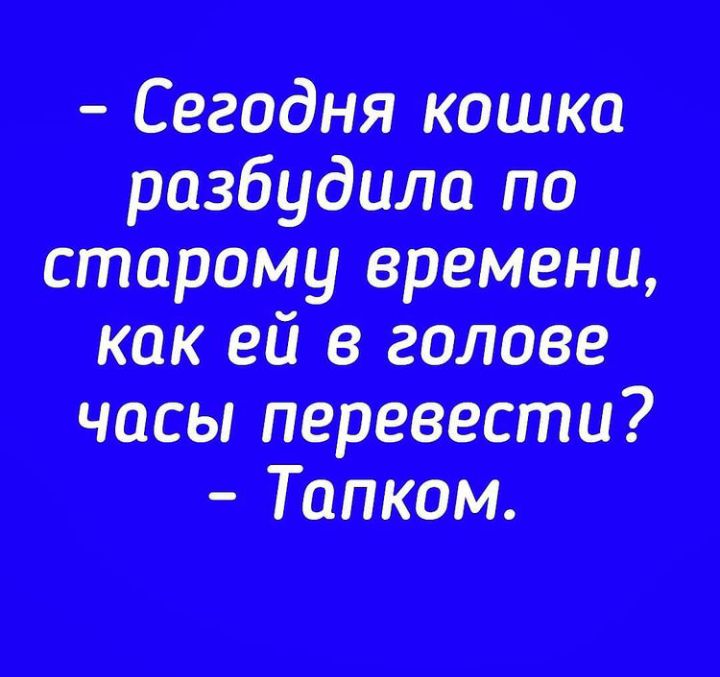 Сегодня кошка разбудило по старому времени как ей в голове часы перевести Топком