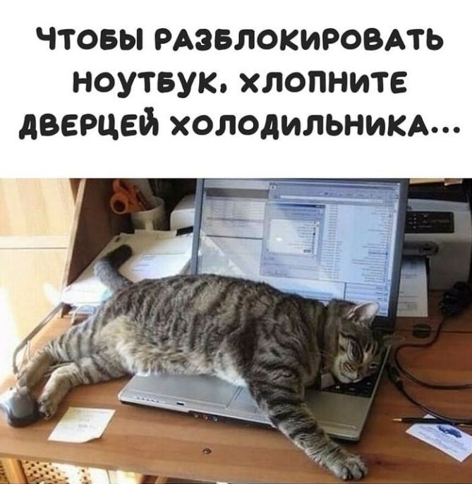 чтовы РАЗБЛОКИРОВАТЬ ноутвук хлопните дверцей холодильникд