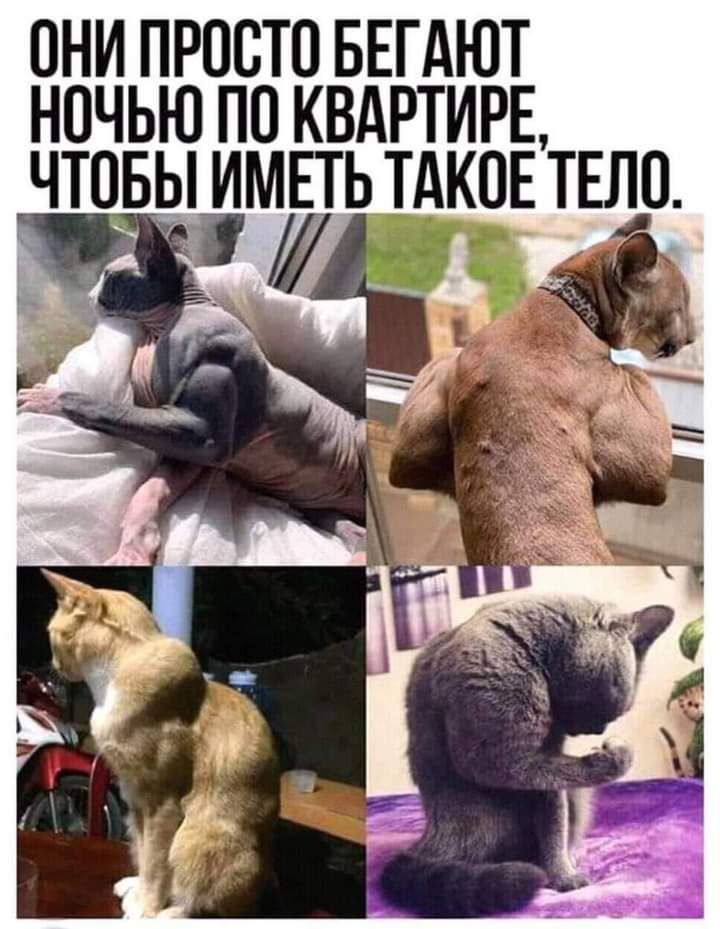 ОНИ ПРОСТО БЕГАЮТ НОЧЬЮ ПО КВАРТИРЕ ЧТОБЫ ИМЕТЬ ТАКОЕ ТЕЛО