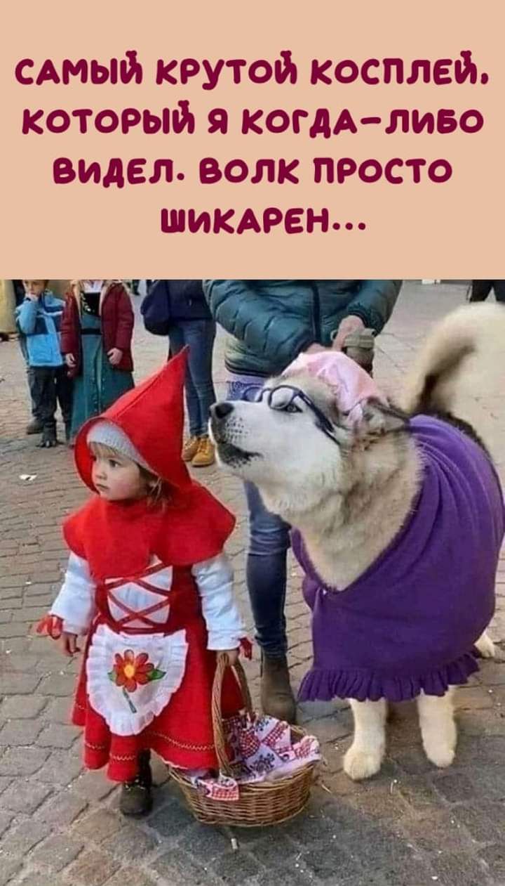 сдмый крутой косплей который я когдА ливо видел волк просто шикдрен