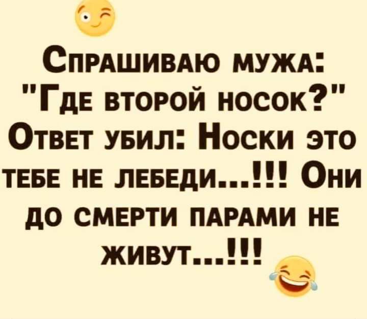 Спишивдю МУЖА ГДЕ второй носок Ответ увил Носки это ТЕБЕ НЕ мыши Они до смерти мыши не живут