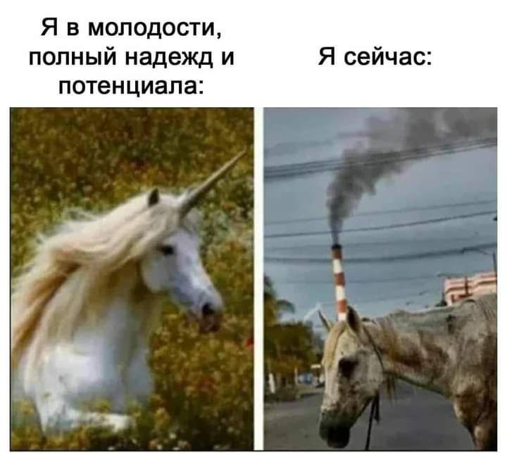 Я в молодости полный надежд и Я сейчас потенциала