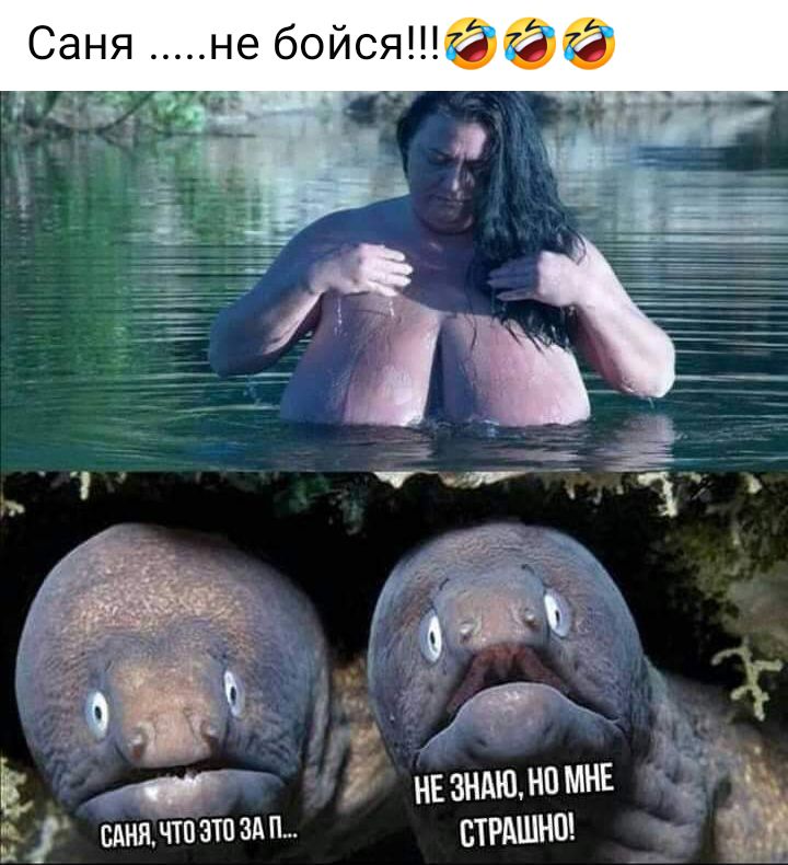 е Ы сцинчтвэшздп НЕЗЁТЁЁЩНЕ ъ _ ч