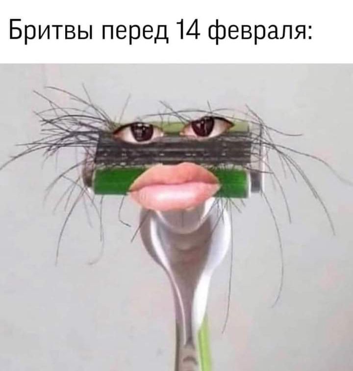 Бритвы перед 14 февраля