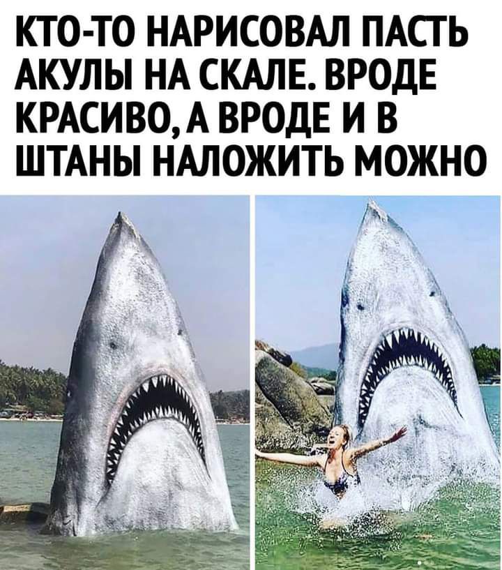 КТО ТО НАРИСОВАЛ ПАСТ Ь АКУЛЫ НА СКАЛЕ ВРОДЕ КРАСИВОА ВРОДЕ И В ШТАНЫ НАЛОЖИТЬ МОЖНО Аъд_