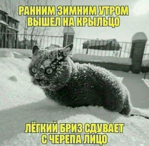щшп ПёдііМШЮ