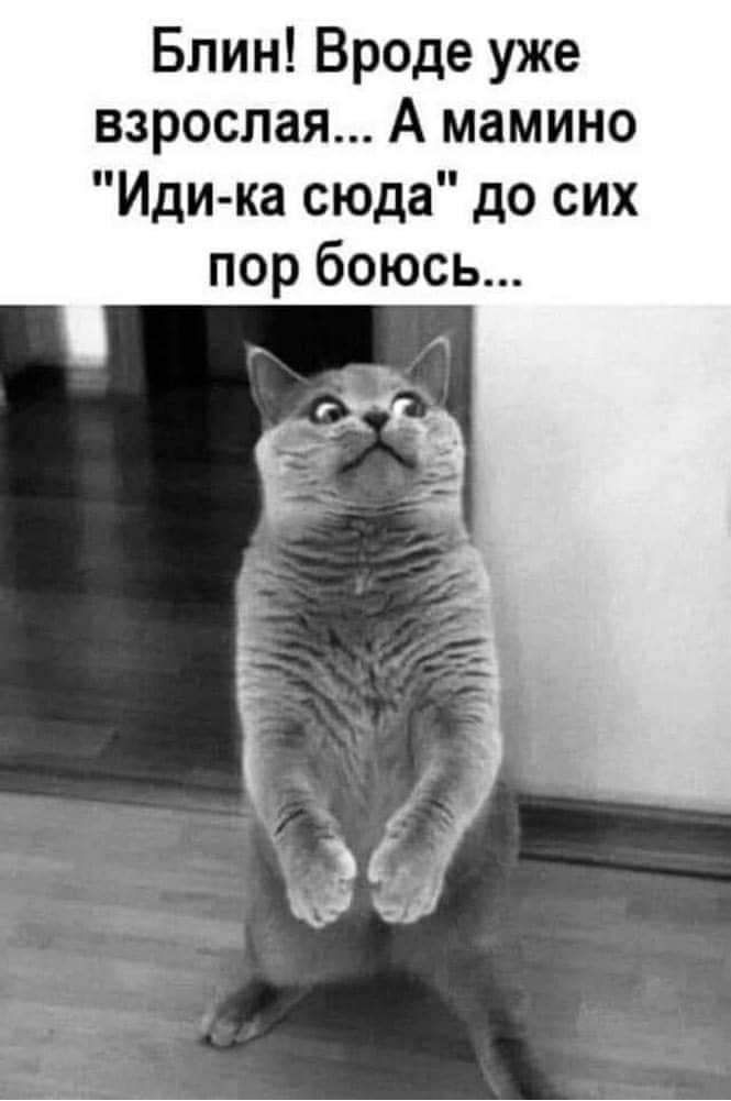 Блин Вроде уже взрослая А мамино Иди ка сюда до сих пор боюсь