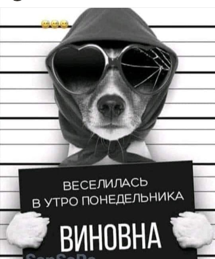 В УТРО ПОНЕДЕЛЬНИКА виновнд