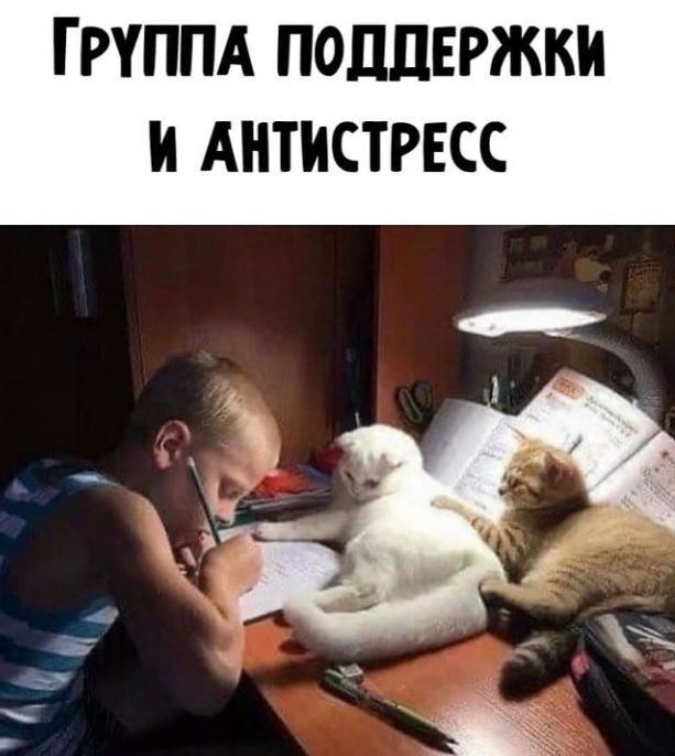 ГРУППА ПОДДЕРЖКИ И АНТИСТРЕСС