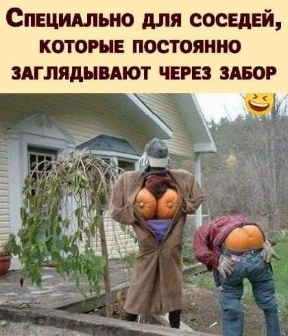 Специдльно для соседей которые постоянно здглядывдют чина здвог
