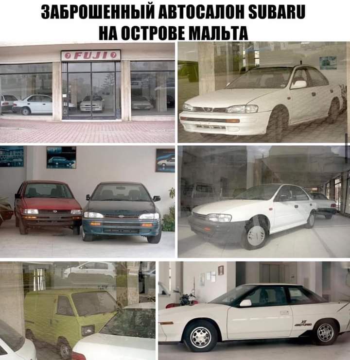 здвюшвиный пвтоеппон зимин нотювгдпыг