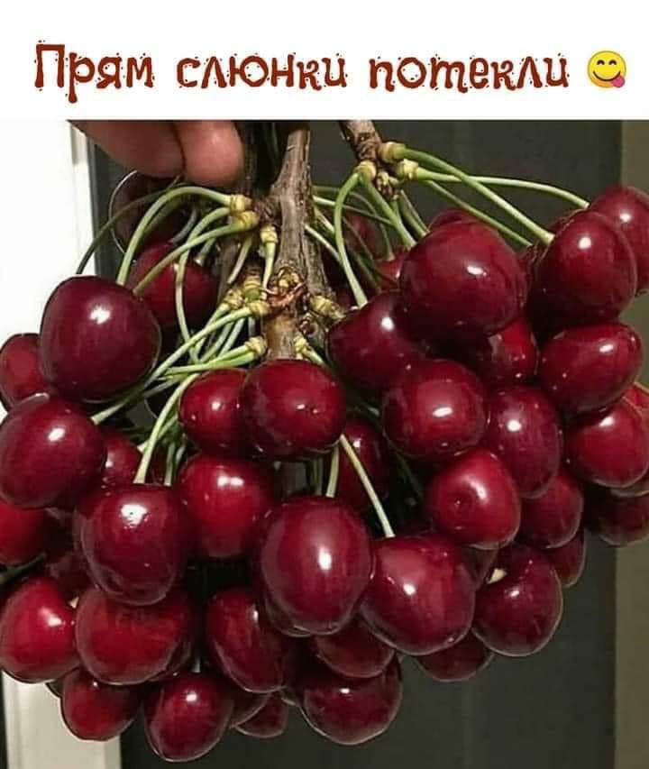 Прям сдюнъш потапш сэ