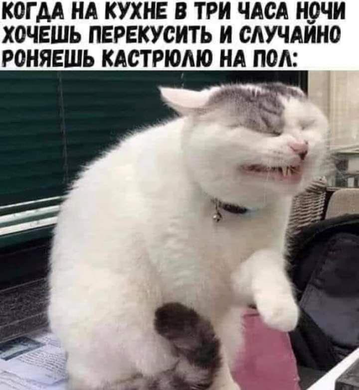 КОГДА НА КУХНЕ В ТРИ ЧАСА Н_9ЧИ ХОЧЕШЬ ПЕРЕКУСИТЬ И САУЧАИНО РОНЯЕШЪ КАСТРЮМО НА ПОА