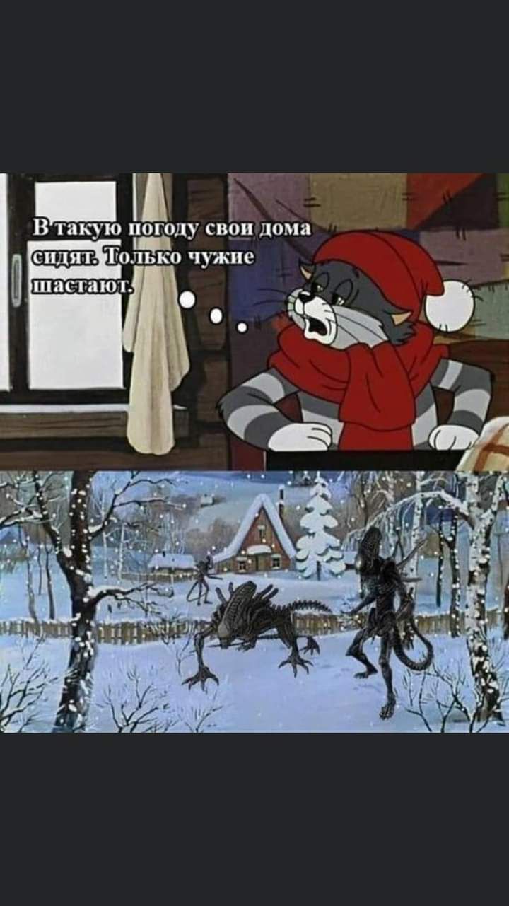 Ш В такую погоду СВЬП дома