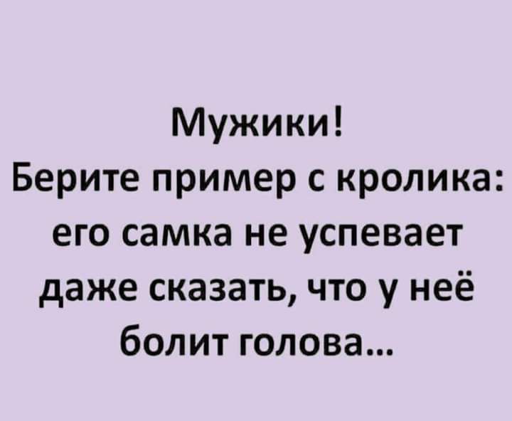 Мужики Берите пример с кролика его самка не успевает даже сказать что у неё болит голова