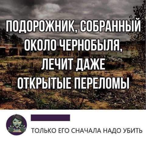 Э _ подоубкник щвднныи около чврнпвыла ЛЕЧИТ ДАЖЕ ОТКРЫТЫЕ ПЕРЕЛЦМЬі _ только ЕГО СНАЧАЛА НАДО увить