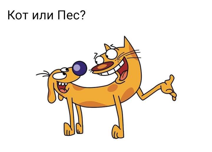 Кот или Пес