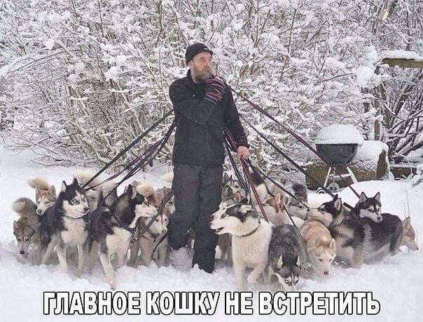 ГПАВНФЕК УШЁ ВСТРЕТИТЬ