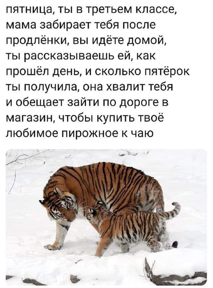 пятница ты в третьем классе мама забирает тебя после продлёнки вы идёте домой ты рассказываешь ей как прошёл день и сколько пятёрок ты получила она хвалит тебя и обещает зайти по дороге в магазин чтобы купить твоё любимое пирожное к чаю
