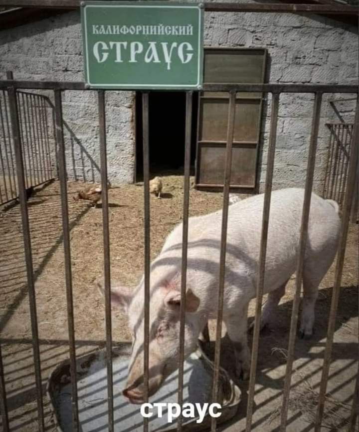 Н м и