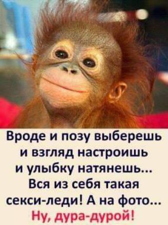 Вроде и позу выберешь и взгляд настроишь и улыбку натянешь Вся из себя такая секси леди А на фото Ну дура дурой