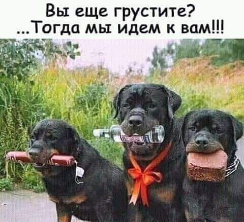 Вы еще грустите Тогда мы идем к вам