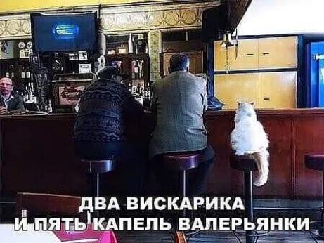 двд вискіхгикд яшЖщпвпь ёмвгьянк