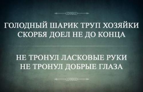 голодныйшмд тгупхозяйки ск ЩА