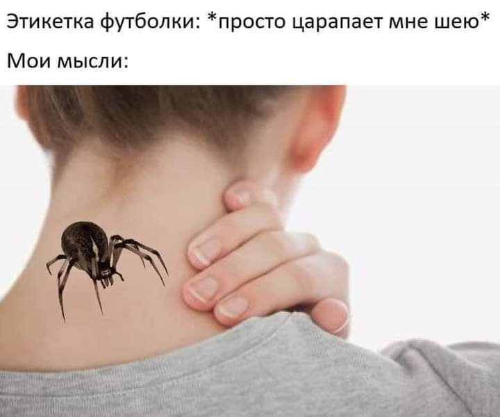 Этикетка футболки просто царапает мне шею Мои мысли