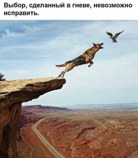 Выбор сделанный в гневе невозможно исправить