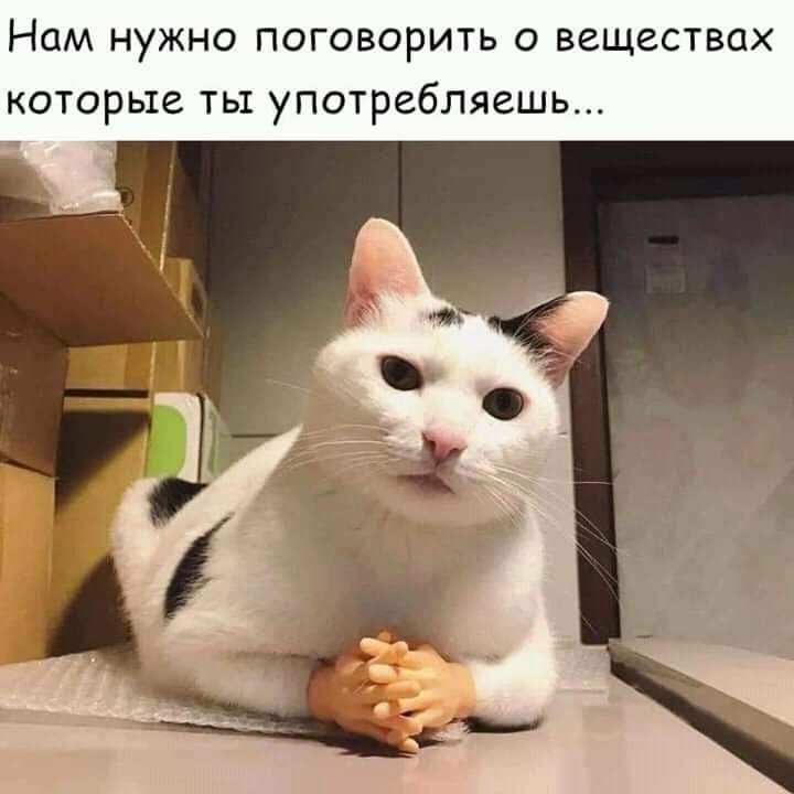 Нам нужно поговорить о веществах которые ты употребляешь