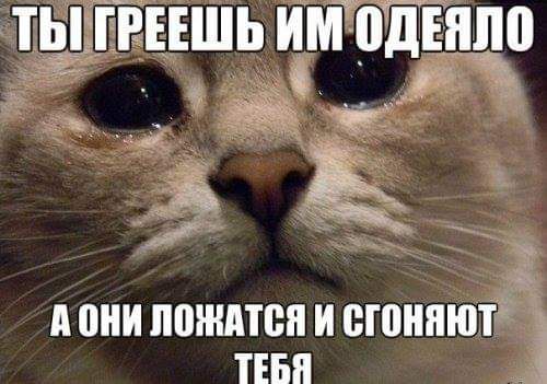 ТЫ РЕЕШЬ ИМ ВДЕЯЛП ШШ ЛШНМВП И сюнпют ТЕБЯ