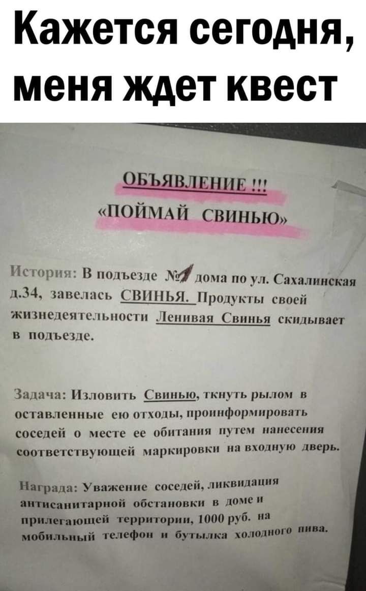 Кажется сегодня меня ждет КВЕСТ ОБЪЯВЛЕНИЕ цз ПОЙМАЙ СВИНЬЮ Нитрит В шымии 4цюип по ул Сахалинская 134 завелись ВПНЬЯ Прщукпы своей ЖПЗПЁЕЦЯ СПОС СППВЦЯ ВППЬЯ скидывает в подхъсыс За ш Нълоппп впиы0 киугь рылом в оста нлсппыс сю холм пронифоршцюпить соседей о месте со обшит путч ишшсения 10 вс ь СООТВСТЁТВУПОЦХСП ЦПРКПРОВЬ БО д р ираш Уважение соседеидиьпиддц Лишеннитариой обстановки в доме прилег