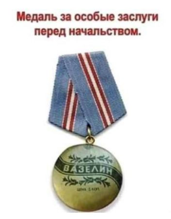 Медаль за особые заслуги перед начальством