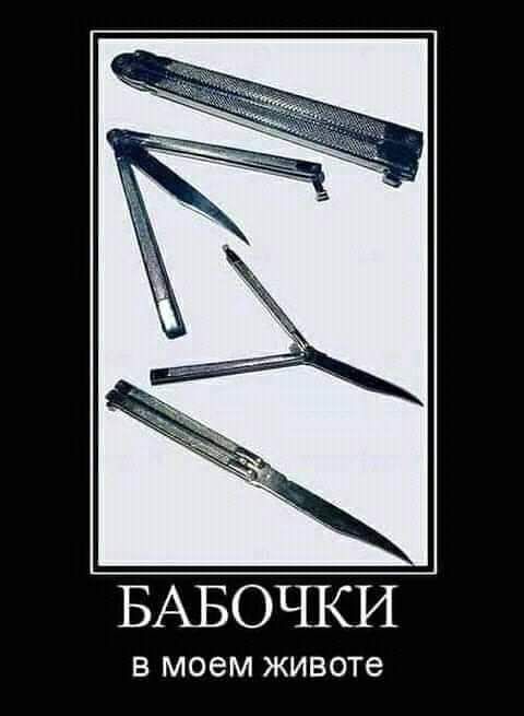 БАБОЧКИ В моем ЖИВОТЭ