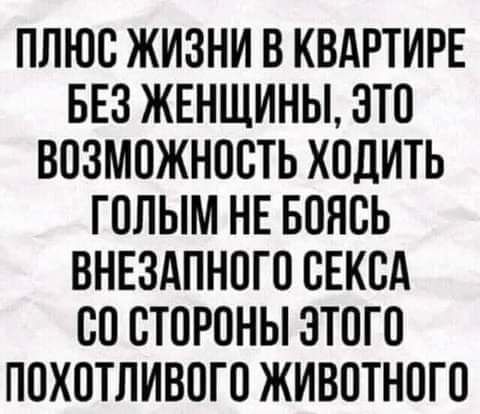 ПЛЮС ЖИЗНИ В КВАРТИРЕ БЕЗ ЖЕНЩИНЫ ЭТО ВОЗМОЖНОСТЬ ХОДИТЬ ГОЛЫМ НЕ БОНСЬ ВНЕЗАПНОГО СЕКСА СО СТОРОНЫ ЭТОГО ПОХОТЛИВОГО ЖИВОТНОГО