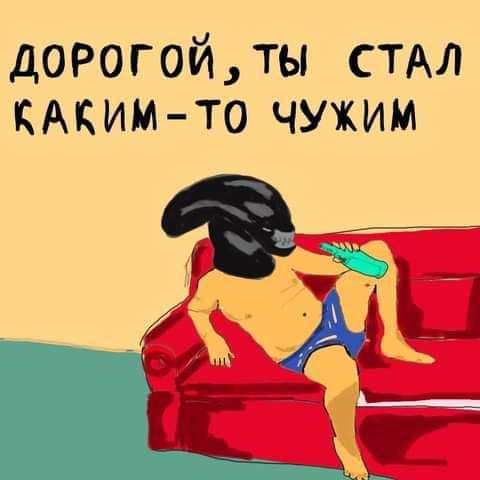 дорогойлы СТАЛ джимто чужим