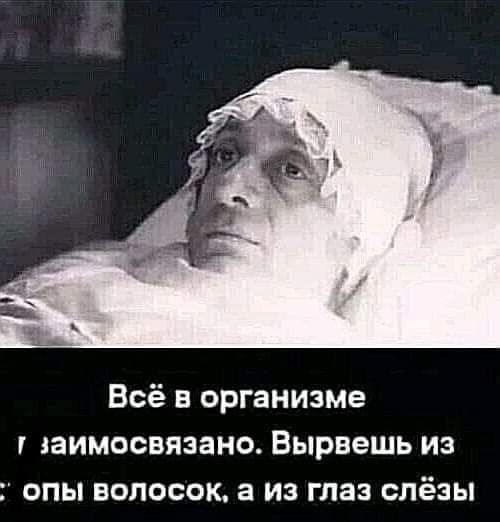 Всё в организме лаимосвязано Вырвешь из опы волосок а из глаз слёзы