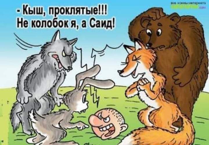 Кыш проклятые Не колобок я а Саид