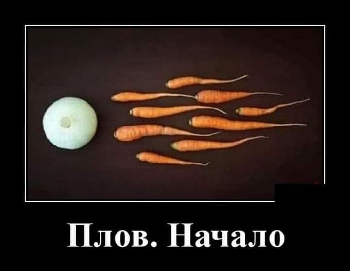 Плов Начало