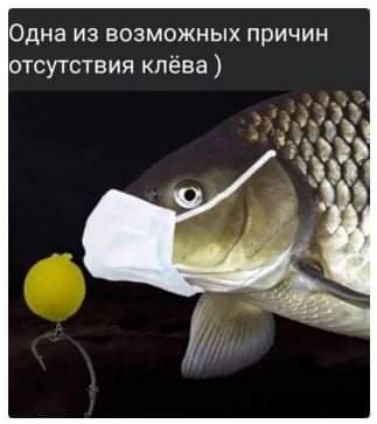 Одна из ВОЗМОЖНЫХ причин отсутствия клёва