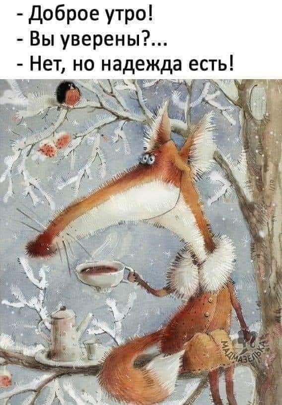 Доброеутро Вьпуверены Непнонадежда есть У