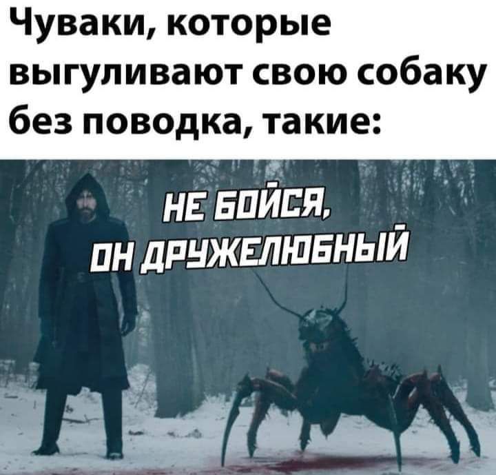 Чуваки которые выгуливают свою собаку без поводка такие нв найдя _ пн дпнжвлшвныи