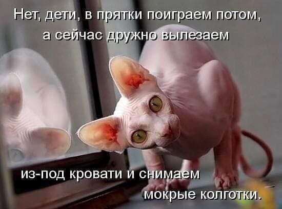 г ИЗ ПОД Кровати И С М Мокрые колгот