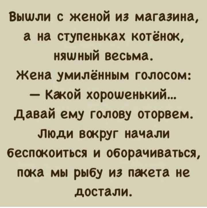 Вышли с женой из магазина а на ступеньках котёнок няшный весьма Жена умилённым голосом Кжой хорошенький давай ему голову оторвем люди вокруг начали беспокоиться и оборачиваться пока мы рыбу из пакета не достали