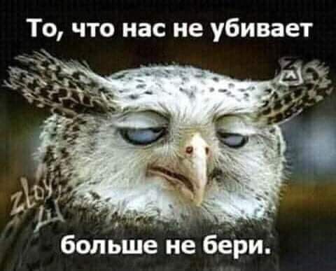 То что нас не убивает болыіпё иё бЕЬи