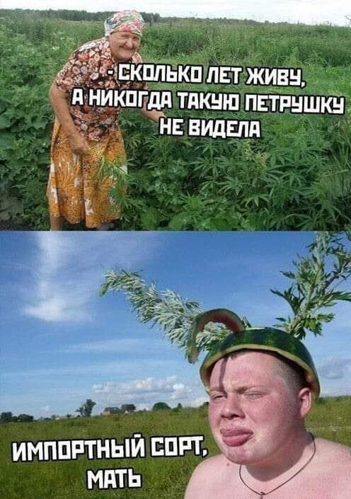 ТПКШП ПЕТРНШКН НЕ ВИдЕПд